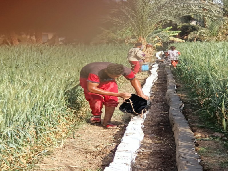Improve the efficiency of irrigation canals in the villages of the Naqada