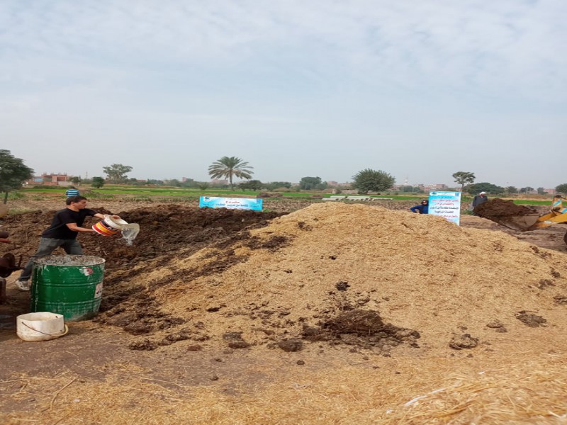 تحسين الوضع الصحي والبيئي والاقتصادي بتدوير المخلفات الزراعية في قرى الزقازيق