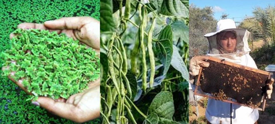 The Small Grants Program completes Phase Seven with funding.