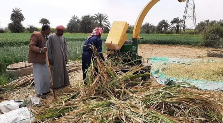 The Small Grants Program: A Strategic Partner in Advancing Sustainable Agriculture in Egypt