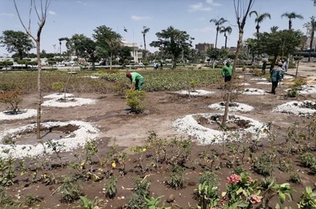 Green Cairo: Pioneering Projects to Beautify the Capital’s Streets and Improve Residents’ Quality of Life